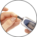Metabolismo
